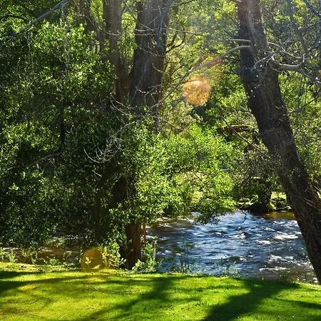 Russell Falls Holiday Cottages National Park Exterior photo