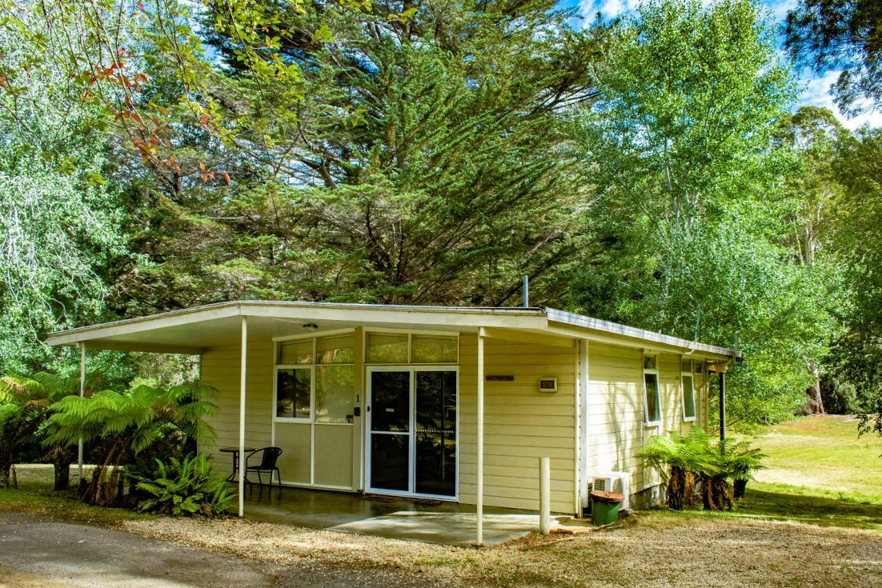 Russell Falls Apartment *